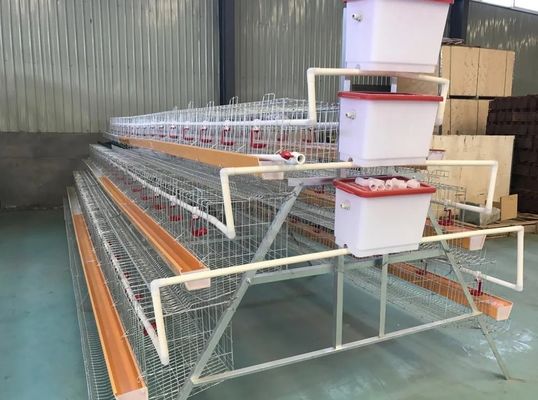 Αγροτική μπαταρία 2,5 χιλιοστών Αυγό Κλουβί κοτόπουλου Τύπου Α Αναπαραγωγή