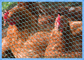 Επικαλυμμένα με PVC βαρέως τύπου κοτόπουλο σύρμα από ανοξείδωτο χάλυβα πλέγμα για τα αγροκτήματα
