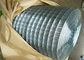 Ηλεκτρική σύντηξη Γαλβανισμένα συγκολλημένα πλέγματα Rolls από ανοξείδωτο χάλυβα 19 X19x1.6mm Dia