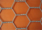 20 Ga Chicken Stainless Steel Woven Wire Mesh Poultry Mesh Hexagon Hole 3/4"