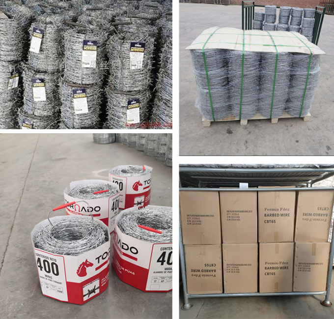 Φθηνή τιμή Concertina θερμό βουτηγμένο γαλβανισμένο ξυράφι συρματόπλεγμα 3