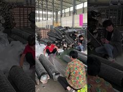 Πράσινο 20 Ga μεταλλικό σύρμα διακοσμητικό εξαγωνικό σύρμα πλέγμα PVC επικαλυμμένο