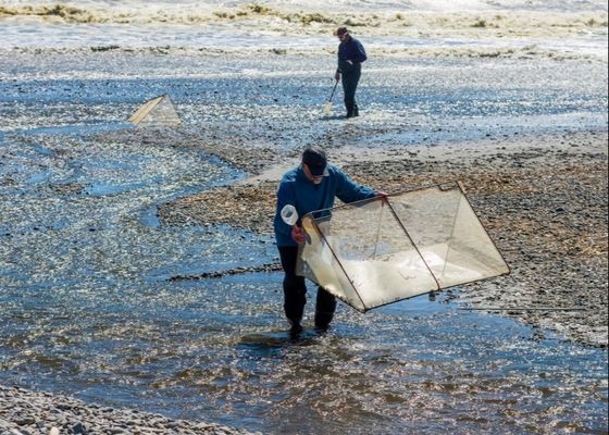 Δίχτυ λευκόσαρκου κράματος 10meshx10mesh για επισκευή διχτυών λευκόσαρκου ή κατασκευή σίτας