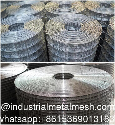 Electro Galvanized Iron Wire Mesh Welded Wire Mesh Roll for Poultry