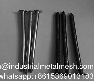 Ζυγισμένα Common Wire Nails Smooth Shank Type Round Flat Head Nails (Γαλβανισμένα κοινά νήματα από σύρμα)