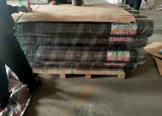 Pvc γαλβανισμένο 0,6mm Dia εξαγωνικό συρμάτινο πλέγμα κοτόπουλου 3/4 ιντσών άνοιγμα