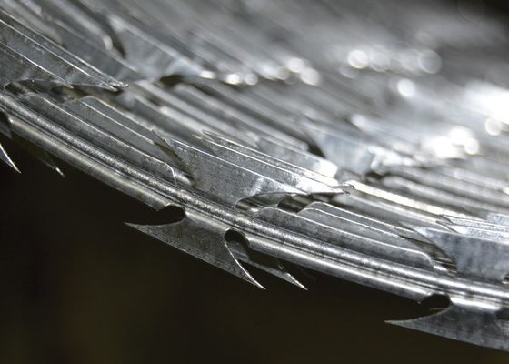Ζυγισμένο συρματόπλεγμα Ασφαλιστικός Φρουρός Ατσάλινο σύρμα ξυράφι