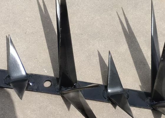 1m μήκος Μεγάλο μέγεθος μαύρο χρώμα Anti Climb Wall Spike για την ασφάλεια