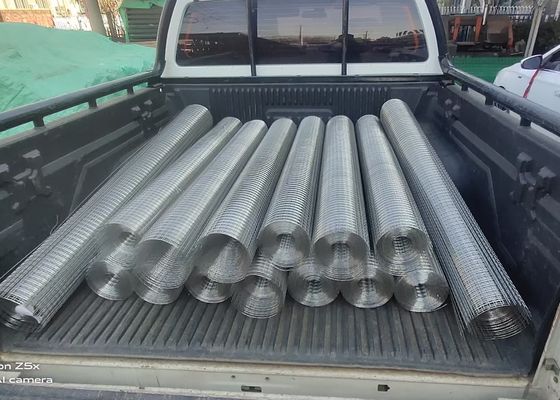 κατασκευή 3mm 1/4 X 1/4 ενωμένο στενά ίντσα πλέγμα καλωδίων