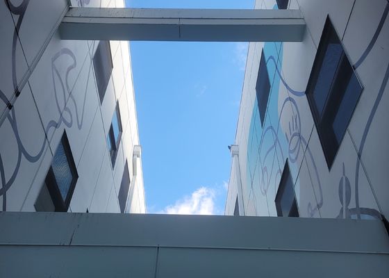 Αντιδιαβρωτικό ανοξείδωτο 316 κιγκλιδωμάτων πλέγμα σχοινιών καλωδίων για την προστασία και την ασφάλεια