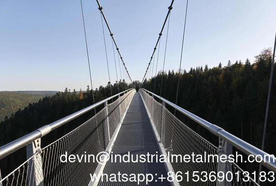 Ss 304 316 Δίχτυ συρματόσχοινου κήπου ζωολογικού κήπου από ανοξείδωτο χάλυβα για την προστασία των πτηνών