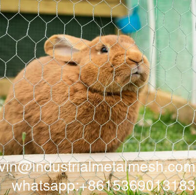 Εξάγωνο συρμάτινο πλέγμα με άνοιγμα 4 ιντσών για φράχτη κήπου