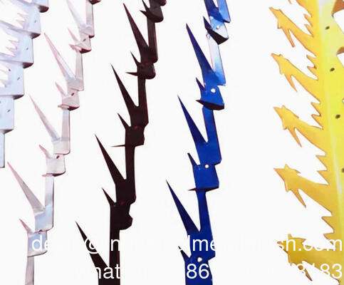 Μεγάλα Ανοξείδωτα Αγκάθια Τοίχου για Περιστέρια 5μ