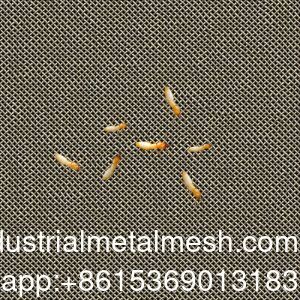 Αίσι 304 316 316L Αντιθερμίτης Διάφραγμα από ιστό συρμάτων από ανοξείδωτο χάλυβα