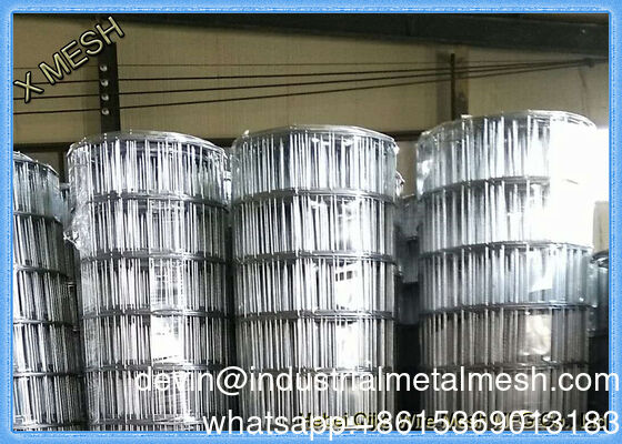 ASTM 1/8-4 ίντσες Ζυγισμένο PVC επικαλυμμένο από ανοξείδωτο χάλυβα