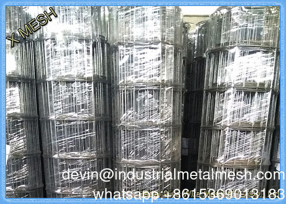 ASTM 1/8-4 ίντσες Ζυγισμένο PVC επικαλυμμένο από ανοξείδωτο χάλυβα