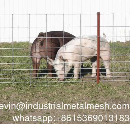 Γαλβανισμένο πλέγμα συρμάτινο φύλλο 6mm για φράχτη κήπου