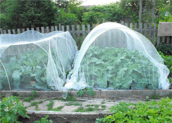 Κηπευτική Hdpe Fly Screen Mesh Γεωργία Καλλιέργεια Εντόμων Δίκτυο 40 Δίκτυο