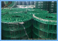 3/4X3/4 SGS το πράσινο χρωματισμένο PVC έντυσε τους ενωμένους στενά ρόλους πλέγματος καλωδίων για τα πουλερικά