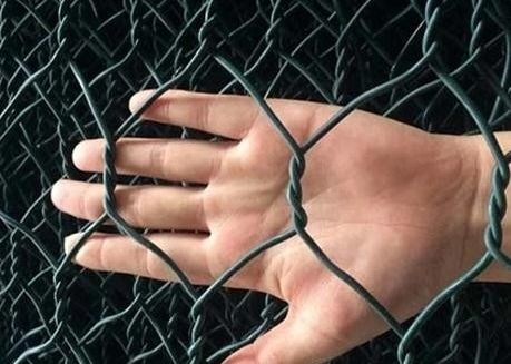 1 X 1 X 1 γαλβανισμένο μέτρα κιβώτιο Gabion/εξαγωνικό πλέγμα καλωδίων Gabion 50 X 50 χιλ.