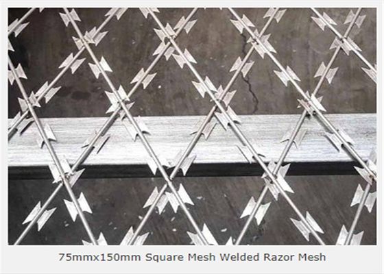 Το ασήμι που γαλβανίστηκε ένωσε στενά το πλέγμα καλωδίων ξυραφιών 3.2mm 75x150mm που ανοίγει